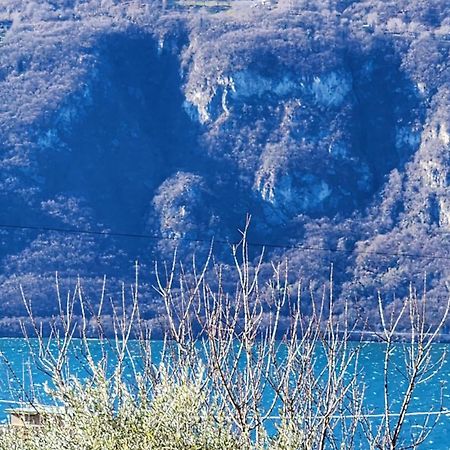 Apartment L'Ulivo Lake View Private Road 5 Kilometers From Varenna Lierna Luaran gambar