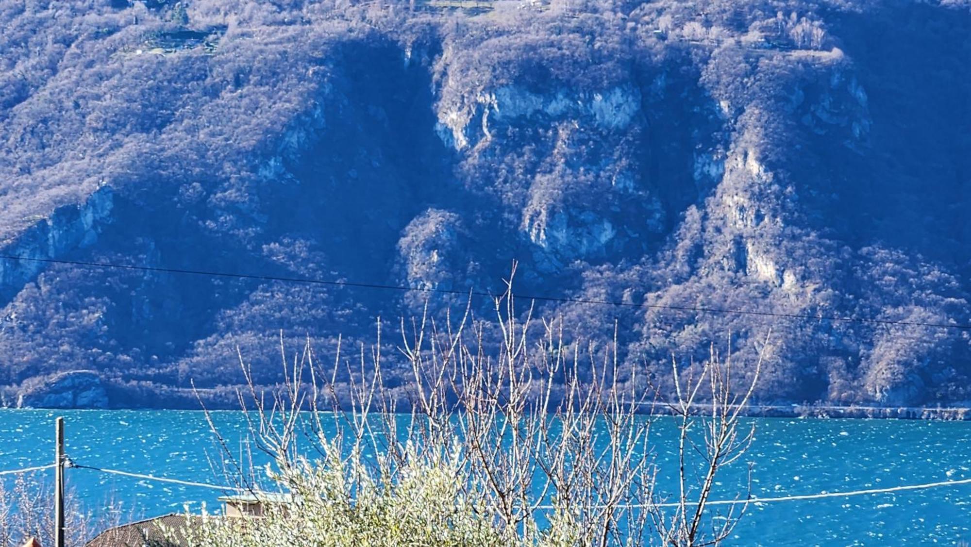 Apartment L'Ulivo Lake View Private Road 5 Kilometers From Varenna Lierna Luaran gambar