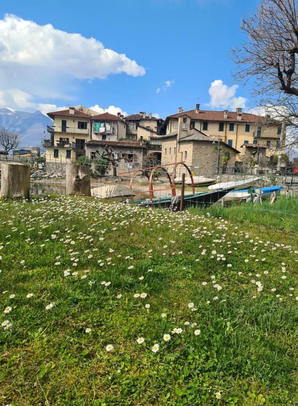 Apartment L'Ulivo Lake View Private Road 5 Kilometers From Varenna Lierna Luaran gambar